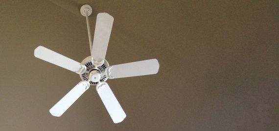Ceiling Fans